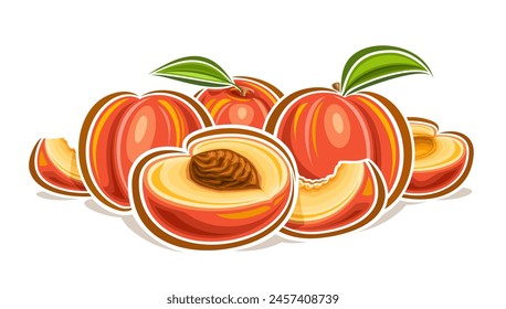 Vector logo for Peach, decorative horizontal poster with outline illustration of orange peaches composition with green leaf, cartoon design fruity print with raw yellow peach flesh on white background