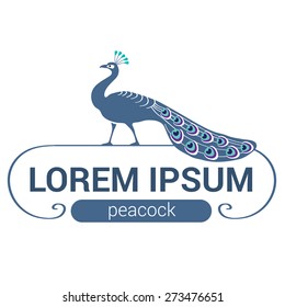 Vector logo peacock.  Logotype or mascot emblem symbol. Can be used for T-shirts print, labels, badges, stickers, vector illustration.