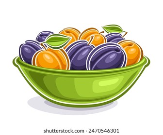 Vector logo for Plum and Apricot, decorative horizontal poster with outline illustration of fruit composition with green leaves, cartoon design fruity label with plums and apricots on white background