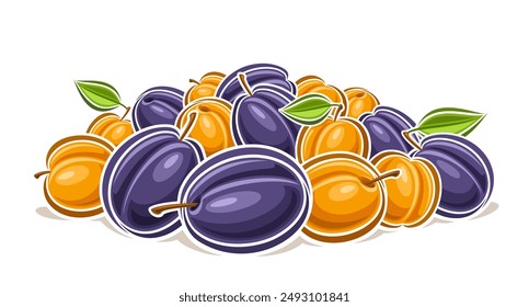 Vector logo for Plum and Apricot, decorative horizontal poster with outline illustration of fruit composition with green leaves, cartoon design fruity print with plums and apricots on white background