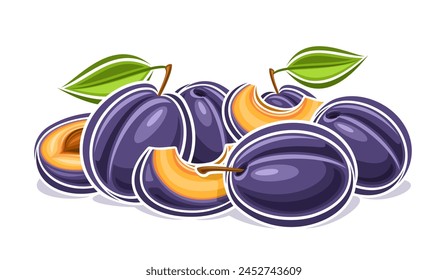 Vector logo for Plum, decorative horizontal poster with outline illustration of plum composition with green leaves on stem, cartoon design print with chopped plum pieces with pit on white background