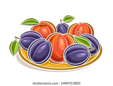 Vector logo for Plum and Peach, decorative horizontal poster with outline clip art fruit composition with green leaves on stem, cartoon design fruity label with plums and peaches on white background