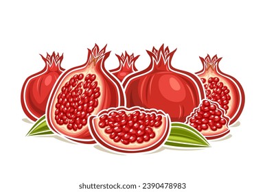 Logotipo vectorial para granado, afiche horizontal decorativo con ilustración de contorno de composición granada jugosa, diseño de dibujos animados impresión frugal con partes de granadas troceadas crudas sobre fondo blanco