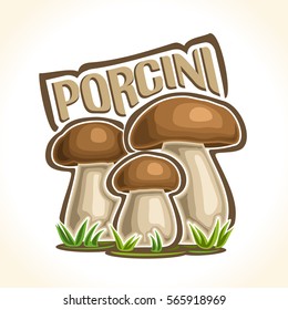 Vector logo Porcini Mushrooms: 3 wild cep mushroom on ground forest glade, cartoon still life lettering porcini on moss, outdoors nature label boletus edulis with inscription, organic california fungi