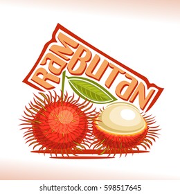 Vector logo Rambutan Fruit: still life composition of 2 red fresh malaysian rambutans, whole peeled exotic fruit, abstract icon asian berry with title text for label isolated on white, vegetarian food
