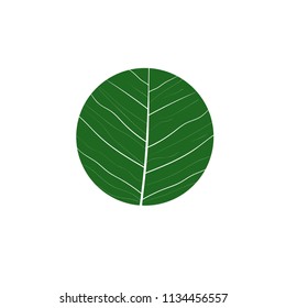 vector logo round leaves