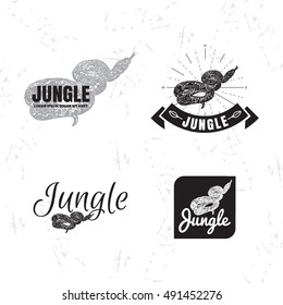 Vector logo set with Boa Constrictor snake. The Boa snake as main element of logotypes