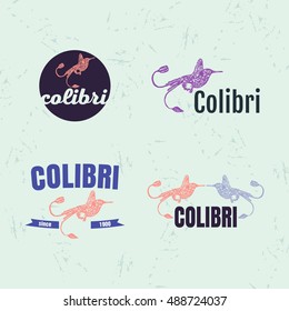 Vector logo set with Hummingbird. The Hummingbird as main element of logotypes