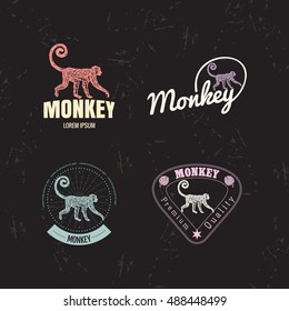 Vector logo set with Jungle Monkey. The  Monkey as main element of logotypes