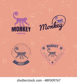 Vector logo set with Jungle Monkey. The Monkey as main element of logotypes