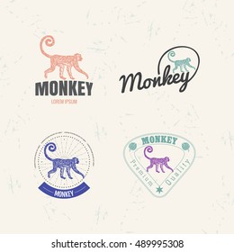 Vector logo set with Jungle Monkey. The  Monkey as main element of logotypes