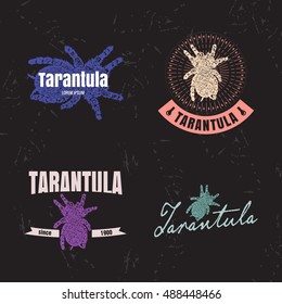 Vector logo set with Tarantula spider. The Tarantula as main element of logotypes