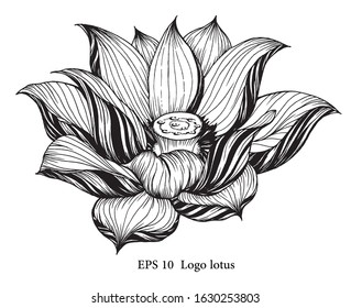vector logo with silhouette lotus on white background.
shadow of beautiful flower.