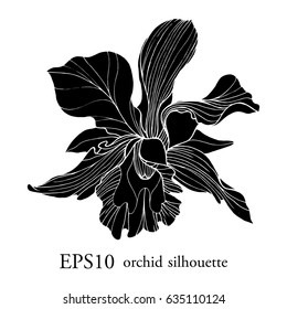 vector logo with silhouette orchid on white background.
shadow of beautiful flower.