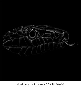 The Vector logo snake head for T-shirt design or outwear.  Hunting style snake head background.