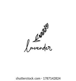 Logo vectorial con una espiral de lavanda. Elemento de diseño para salón de belleza, aceites esenciales, cafés, tiendas de flores y otros usos. Ilustración vectorial.