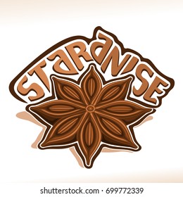Vector logo for Star Anise: wooden dry pod with brown seeds of aniseed, label with title text - star anise on white, chinese condiment badian, spicy ingredient for drink or baking, indian seasoning.