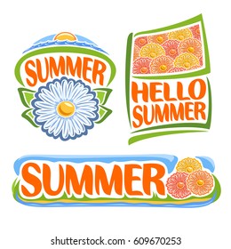 Vector logo of Summer Flowers: icon of chamomile, sea sunrise on sky horizon, flag with floral background of chrysanthemum flower, title text: hello summer, clip art design banner of meadow with grass