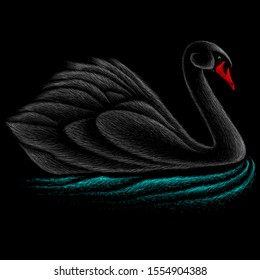 The Vector Logo Swan For T-shirt Design Or Outwear.  Hunting Style Swiming Background. This Drawing Is For Black Fabric Or Canvas.