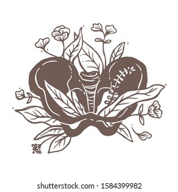Vector Logo, Symbol, Emblem Or Label Of Human Pelvic Bone With Growing Flowers And Leaves From It. Creative Drawing Sign For Medicine, Health Care, Ultrasound Of Organs. Illustration Of Skeleton