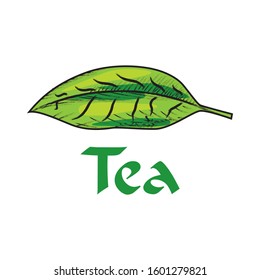 Vector logo of a tea shop and cafe