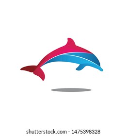 vector logo template for dolphin icons