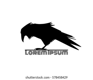 Vector logo template with hand drawn raven silhouette. 