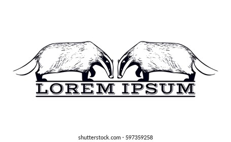 Vector logo template with hand drawn cute badgers. Ink drawing, graphic style. Beautiful design elements.