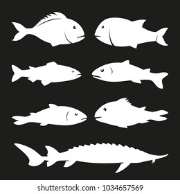 Vector logo template for seafood restaurant. Illustration of different types of marine fish in monochrome style. Can be used for sea food cafe. EPS 10. Design element for fish-menu, banners.