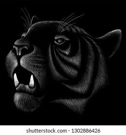 The Vector logo tiger cat for tattoo or T-shirt design or outwear.  Cute print style tiger background.