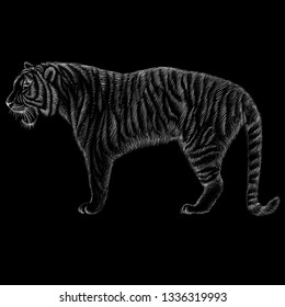 The Vector logo tiger for tattoo or T-shirt design or outwear.  Hunting style tigers print on black background.