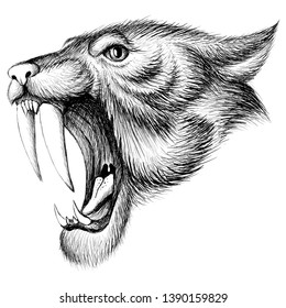 The Vector logo tiger for tattoo or T-shirt design print or outwear.  Hunting style tigers print on black background.