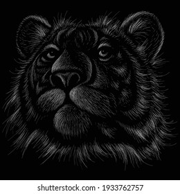 The Vector logo tiger for tattoo or T-shirt design or outwear.  Hunting style big cat print on black background. This hand drawing is for black fabric or canvas.