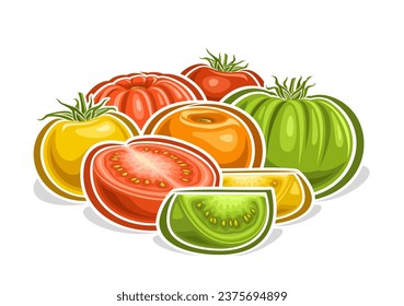 Logo vectorial para tomates, afiche horizontal decorativo con ilustración esquemática de composición de tomate colorido con hojas, diseño de dibujos animados de verduras con varios tomates crudos sobre fondo blanco