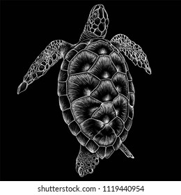 
The Vector logo turtle  for T-shirt design or outwear or background. This drawing would be nice to make on the black fabric or canvas.