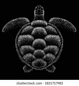 The Vector logo turtle  for T-shirt design or outwear or background. This drawing would be nice to make on the black fabric or canvas.