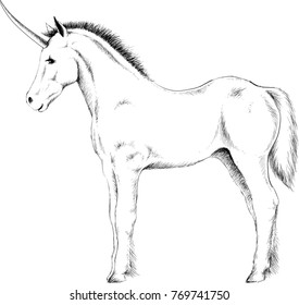The Vector logo unicorn for T-shirt design or outwear.