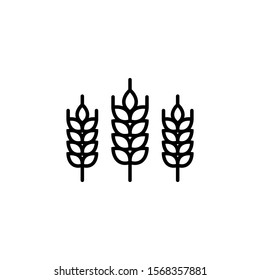 Vector logo Wheat ears linear icon for business, agriculture, beer, bakery, Gluten free. Black Line illustration isolated on white background.