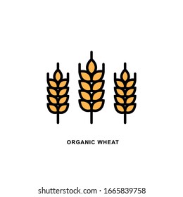 Vector logo Wheat ears linear icon for business, agriculture, beer, bakery, Gluten free. Black Line illustration isolated on white background.