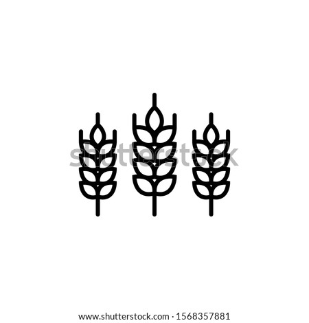 Vector logo Wheat ears linear icon for business, agriculture, beer, bakery, Gluten free. Black Line illustration isolated on white background.