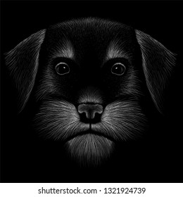 The Vector logo yorkshire terrier for tattoo or T-shirt design or outwear.  Cute print style dog background.