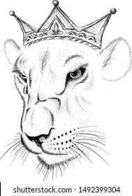 The Vector logo young lioness for tattoo or T-shirt  print design or outwear.  Hunting style lions background.