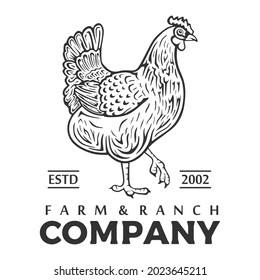 vector logotype of chicken farm with silhouette of bird isolated in white background. vintage logo illustration