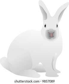 vector - long eared white rabbit sitting
