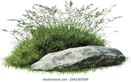 Vector long green grass, rocks scenery, nature clipart, transparent backgrounds, lush green, natural landscape, outdoor scene, grass and rocks, wild nature illustration
