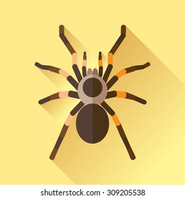 Vector Long Shadow Flat Spider