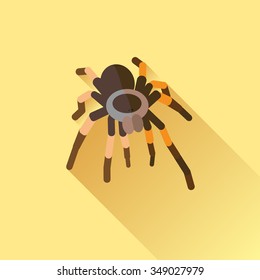 Vector Long Shadow Flat Spider