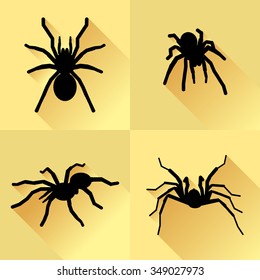 Vector Long Shadow Silhouette Spider