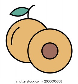 Vector Longan Filled Outline Icon Design

