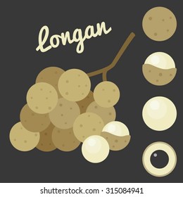 Vector Longan,flat style